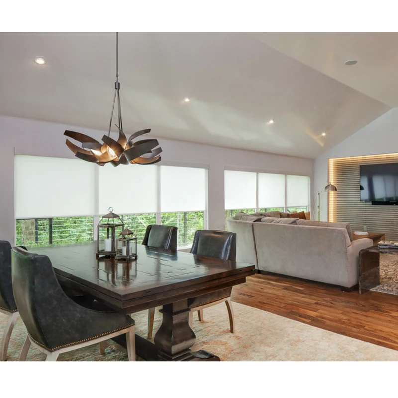 Minimalist living room in Austin with white roller shades installed on the windows.