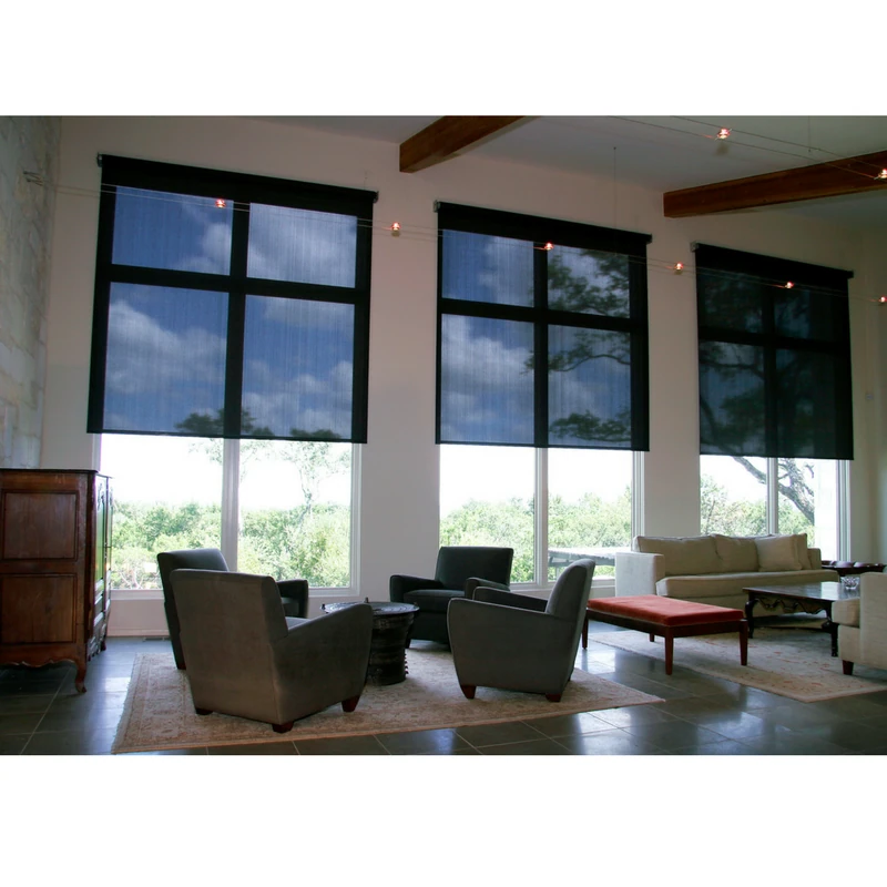 Black, semi-transparent roller shades installed on large living room windows.