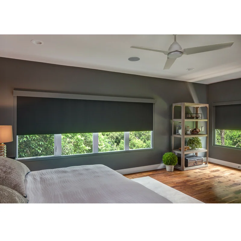 Room darkening shades installed on two windows of a master bedroom.